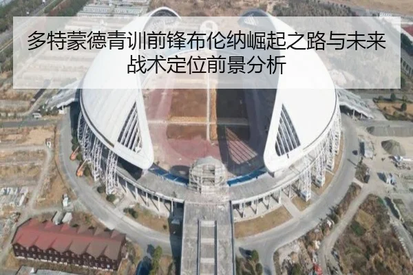 多特蒙德青训前锋布伦纳崛起之路与未来战术定位前景分析